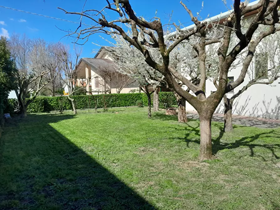 Immagine 9 di Casa indipendente in vendita  in via Tempesta 19 a Noale