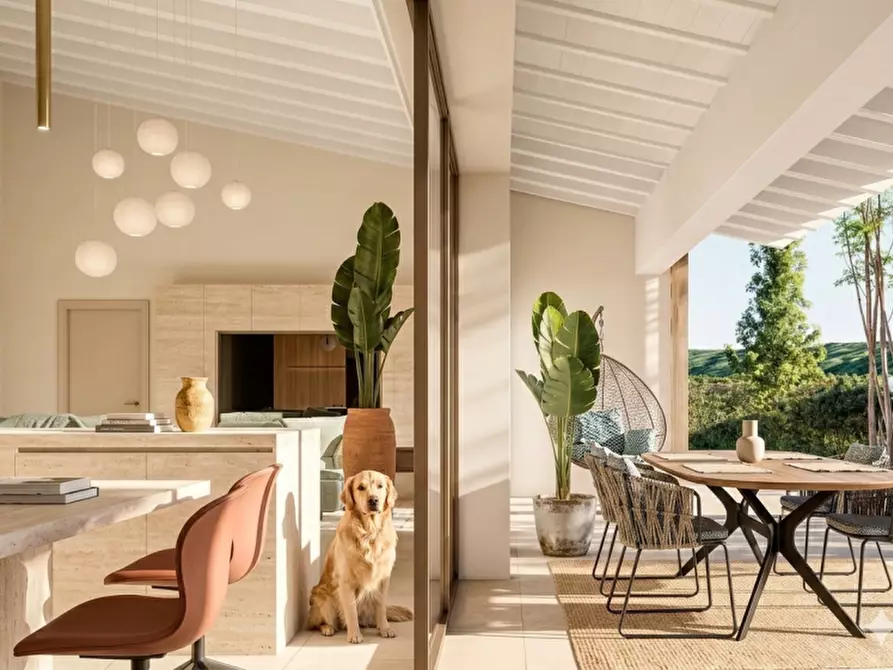 Immagine 5 di Villa in vendita  a Cartura