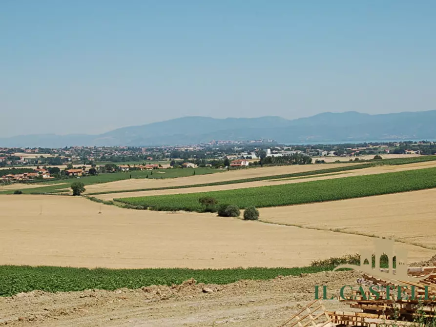 Immagine 1 di Terreno in vendita  a Paciano
