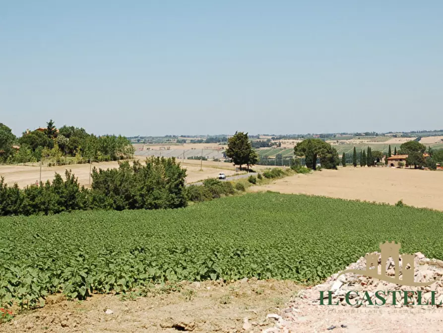 Immagine 2 di Terreno in vendita  a Paciano