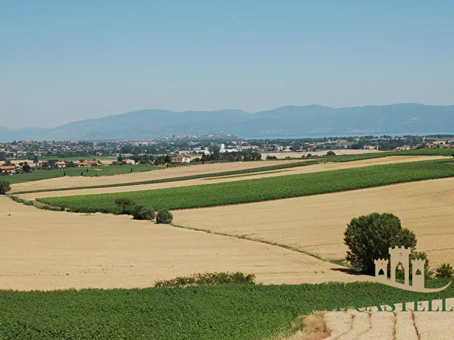 Immagine 3 di Terreno in vendita  a Paciano
