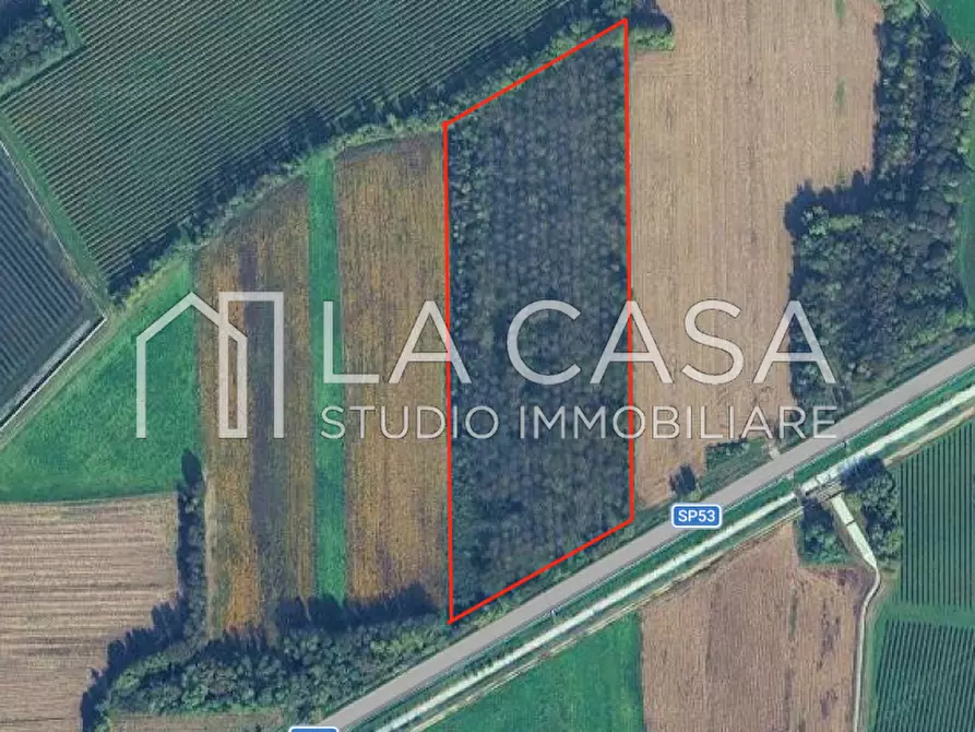 Immagine 1 di Terreno in vendita  in SP53 a San Quirino