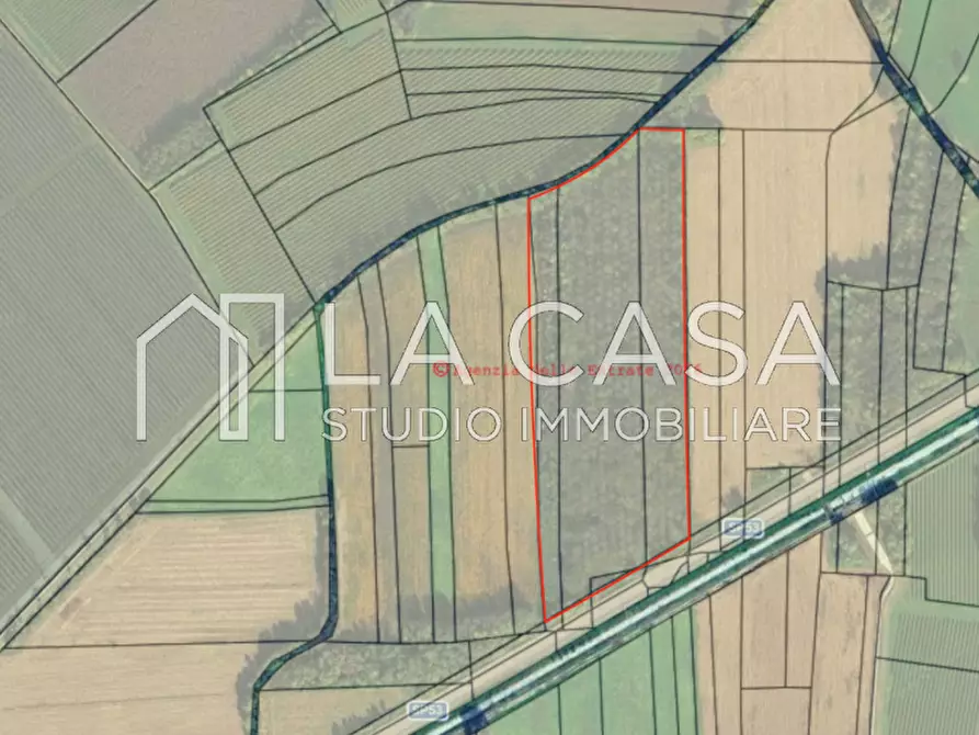 Immagine 2 di Terreno in vendita  in SP53 a San Quirino