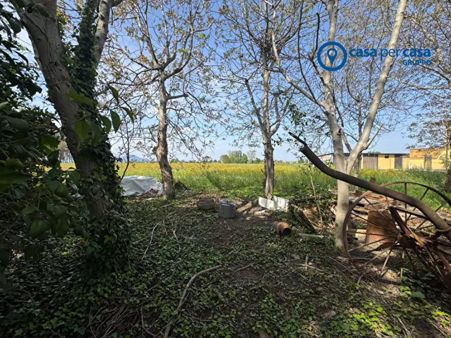 Immagine 16 di Casa indipendente in vendita  in Via Argine 13 a Pozzonovo