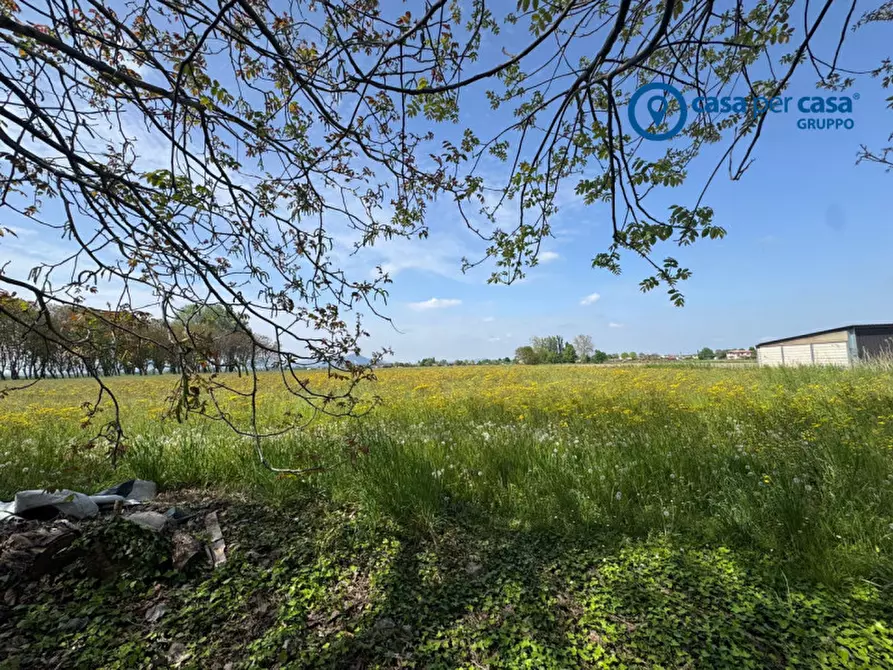 Immagine 17 di Casa indipendente in vendita  in Via Argine 13 a Pozzonovo