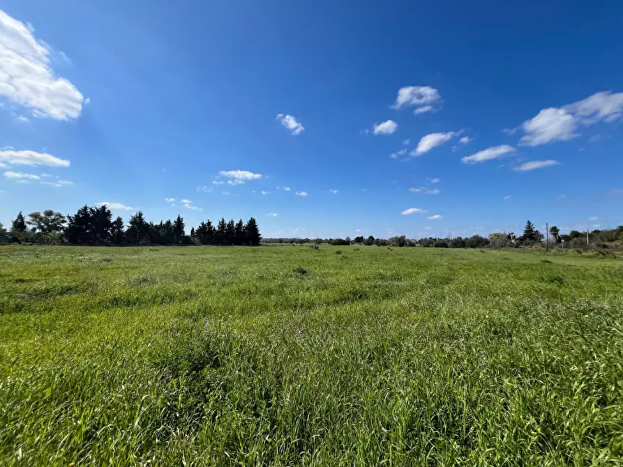 Immagine 2 di Terreno in vendita  in SP 223 a Gallipoli