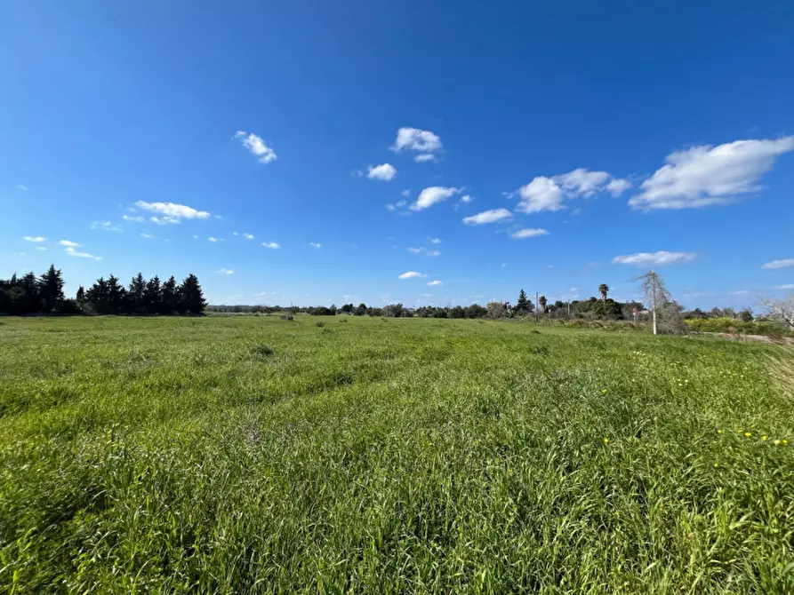 Immagine 3 di Terreno in vendita  in SP 223 a Gallipoli