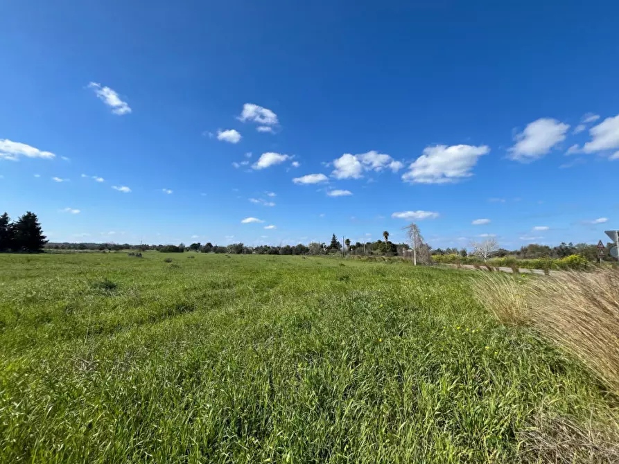 Immagine 4 di Terreno in vendita  in SP 223 a Gallipoli