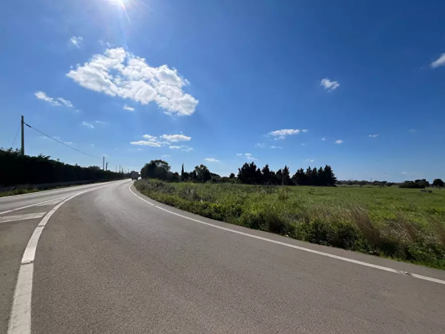Immagine 5 di Terreno in vendita  in SP 223 a Gallipoli
