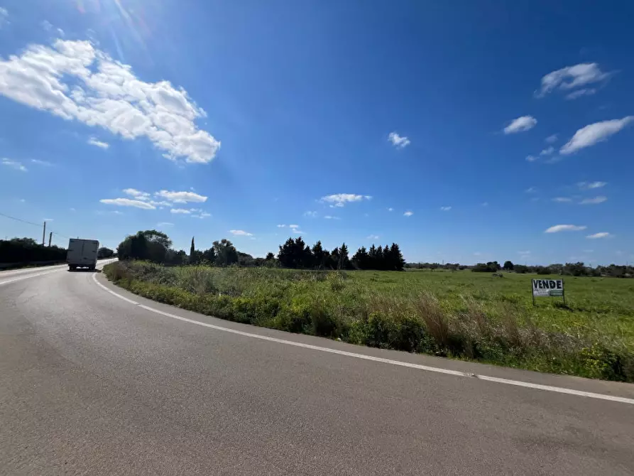 Immagine 6 di Terreno in vendita  in SP 223 a Gallipoli