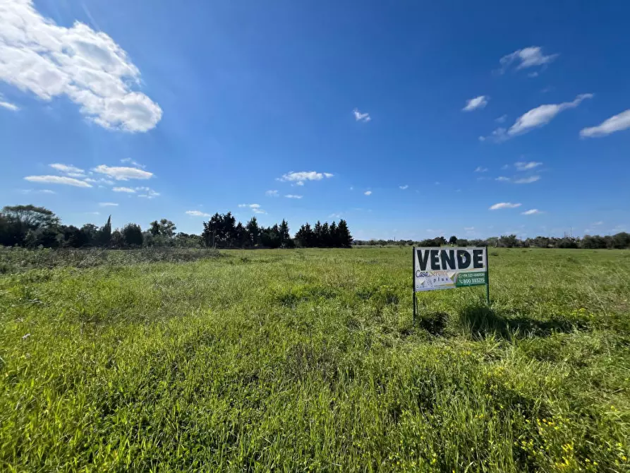 Immagine 8 di Terreno in vendita  in SP 223 a Gallipoli