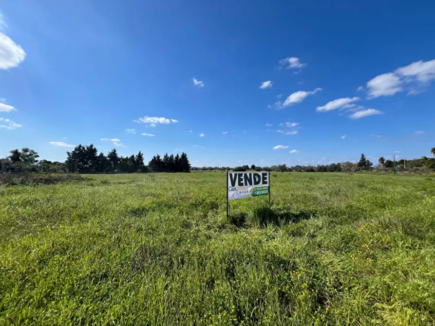 Immagine 9 di Terreno in vendita  in SP 223 a Gallipoli