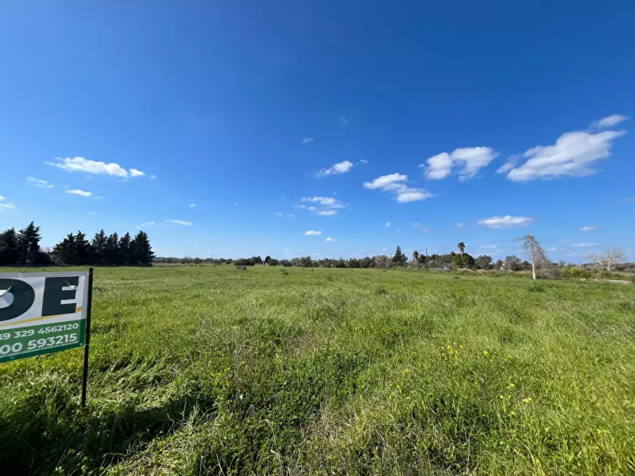 Immagine 10 di Terreno in vendita  in SP 223 a Gallipoli