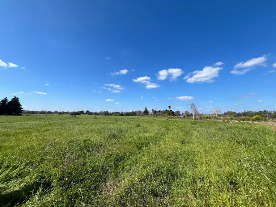 Immagine 11 di Terreno in vendita  in SP 223 a Gallipoli