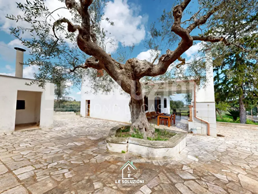 Immagine 3 di Casa indipendente in vendita  in strada comunale torre due pani 12 a Castellana Grotte