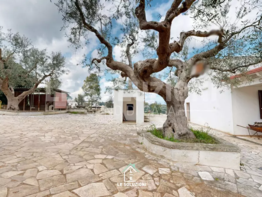 Immagine 22 di Casa indipendente in vendita  in strada comunale torre due pani 12 a Castellana Grotte