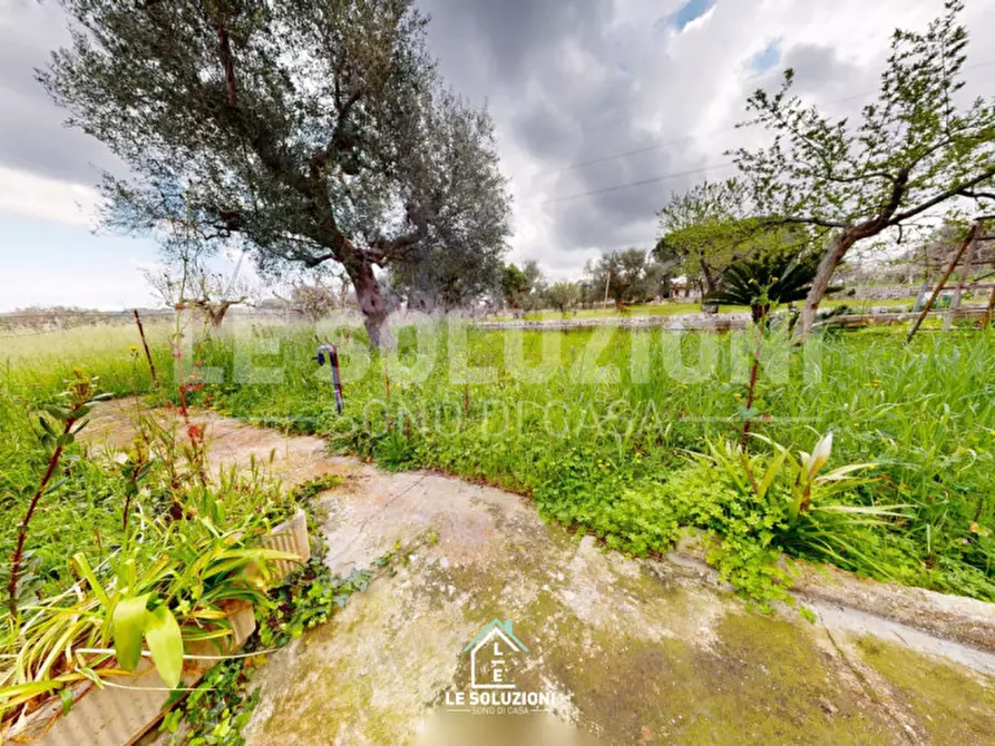 Immagine 24 di Casa indipendente in vendita  in strada comunale torre due pani 12 a Castellana Grotte