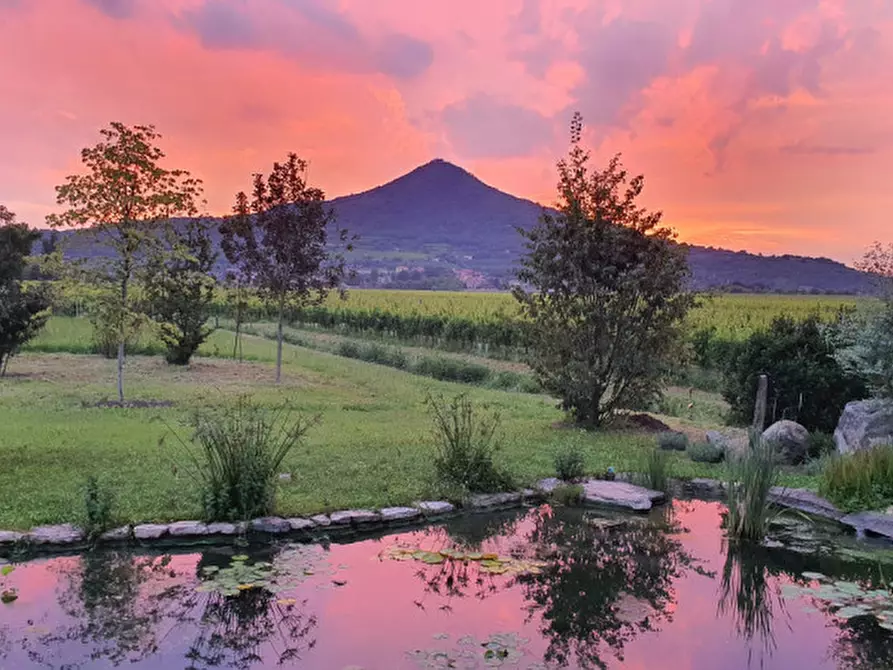 Immagine 8 di Rustico / casale in vendita  a Cinto Euganeo