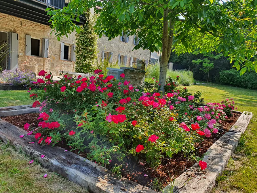 Immagine 25 di Rustico / casale in vendita  a Cinto Euganeo