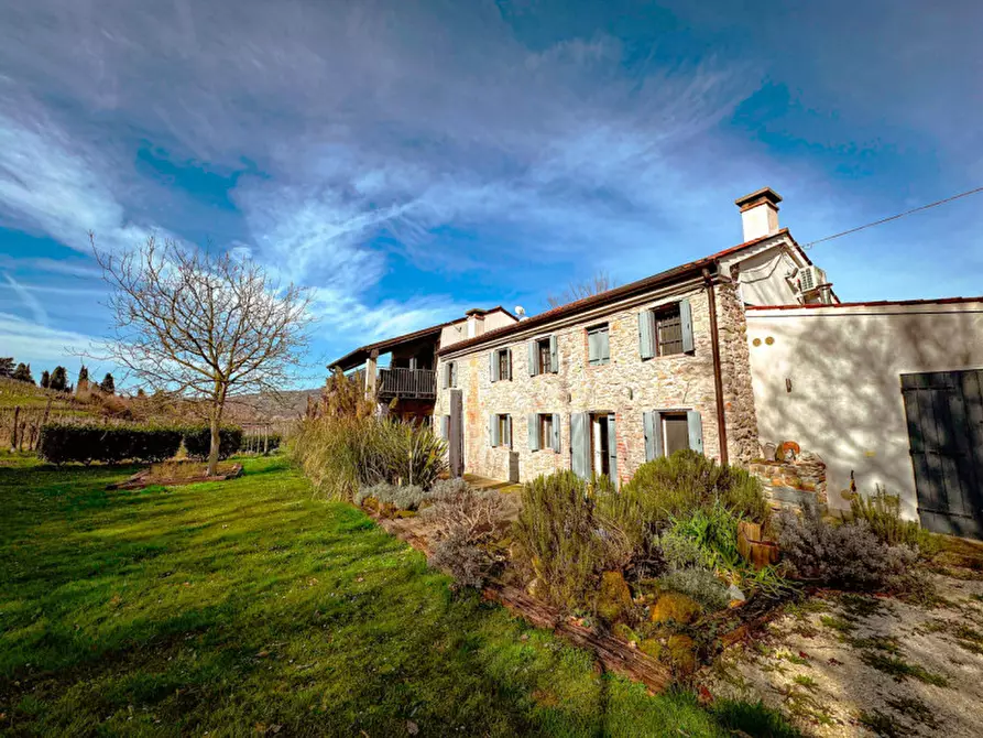 Immagine 26 di Rustico / casale in vendita  a Cinto Euganeo