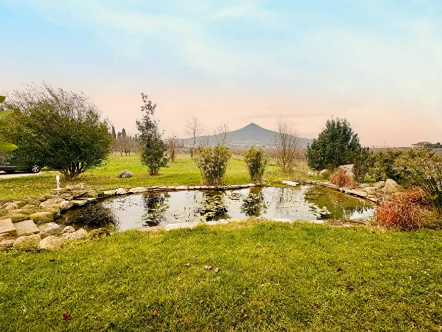 Immagine 34 di Rustico / casale in vendita  a Cinto Euganeo