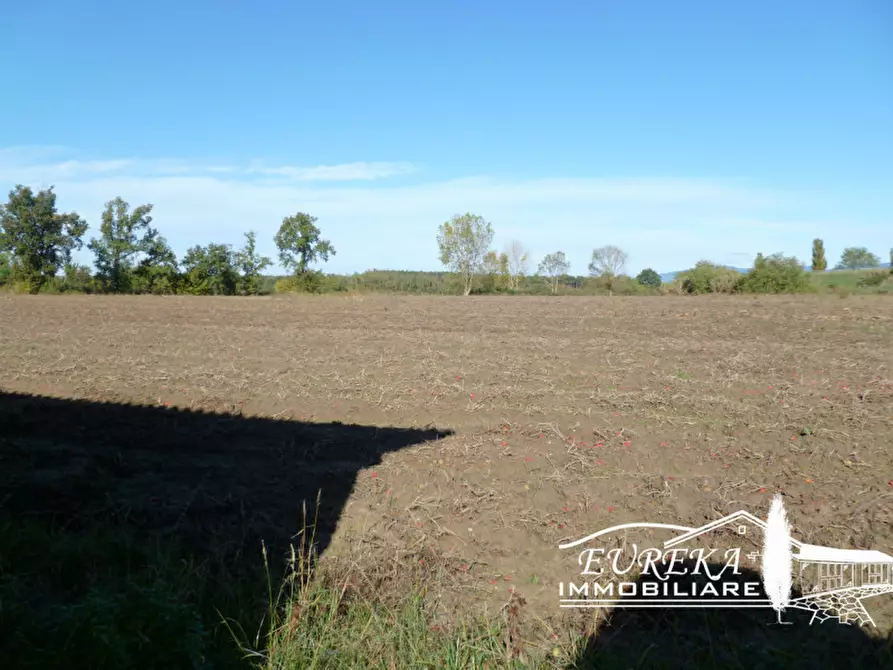 Immagine 7 di Terreno in vendita  in via enrico fermi a Castiglione Del Lago