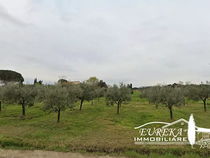 Immagine 8 di Terreno in vendita  in via enrico fermi a Castiglione Del Lago