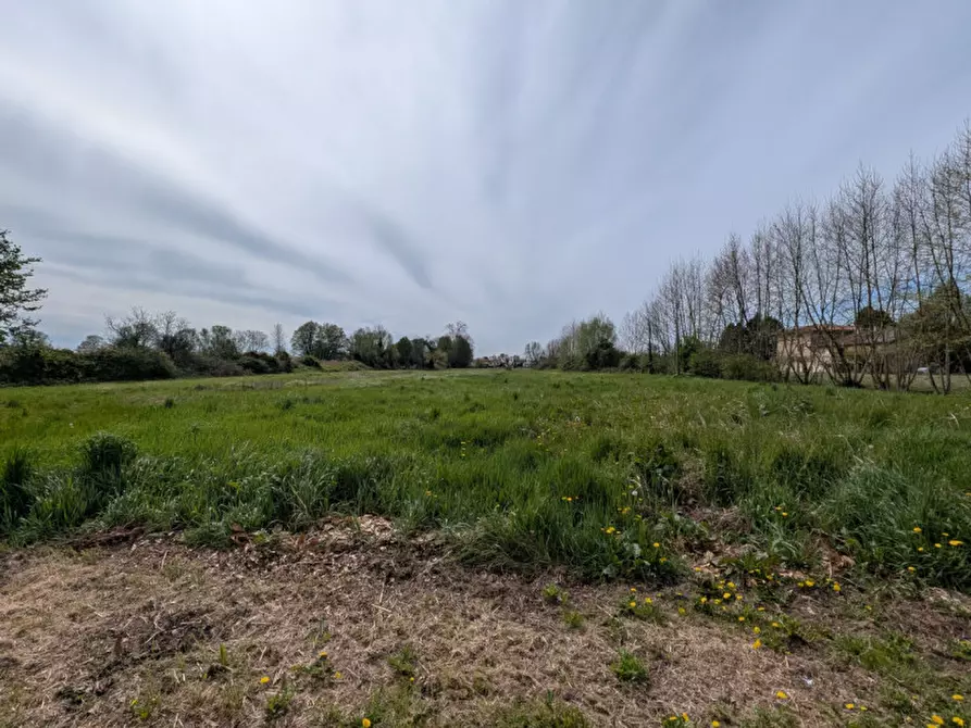 Immagine 5 di Casa indipendente in vendita  in Via Cavin di Sala a Mirano