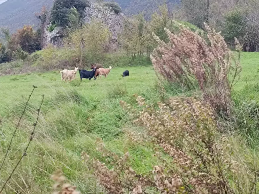 Immagine 12 di Casa indipendente in vendita  in Via Fontana del Gatto a Ceccano