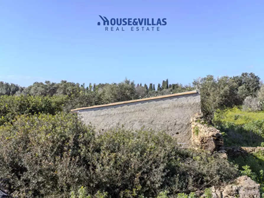 Immagine 3 di Villa in vendita  in calamosche a Noto