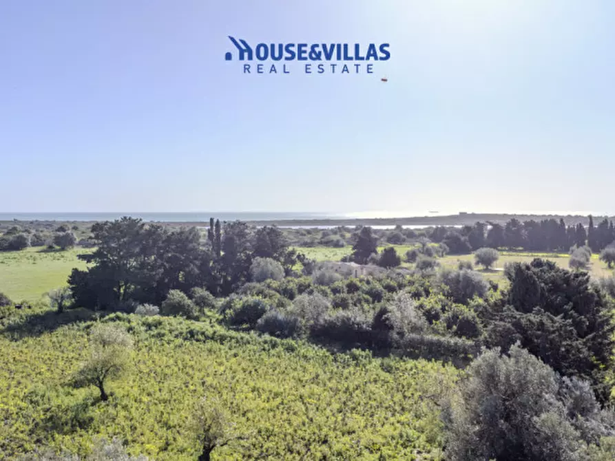 Immagine 4 di Villa in vendita  in calamosche a Noto