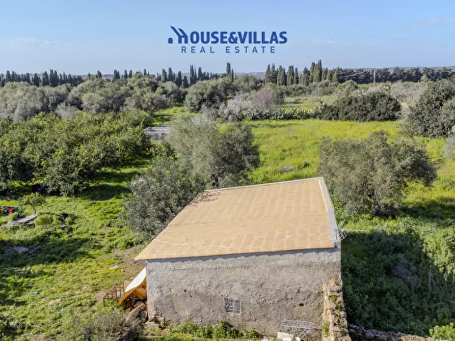 Immagine 5 di Villa in vendita  in calamosche a Noto