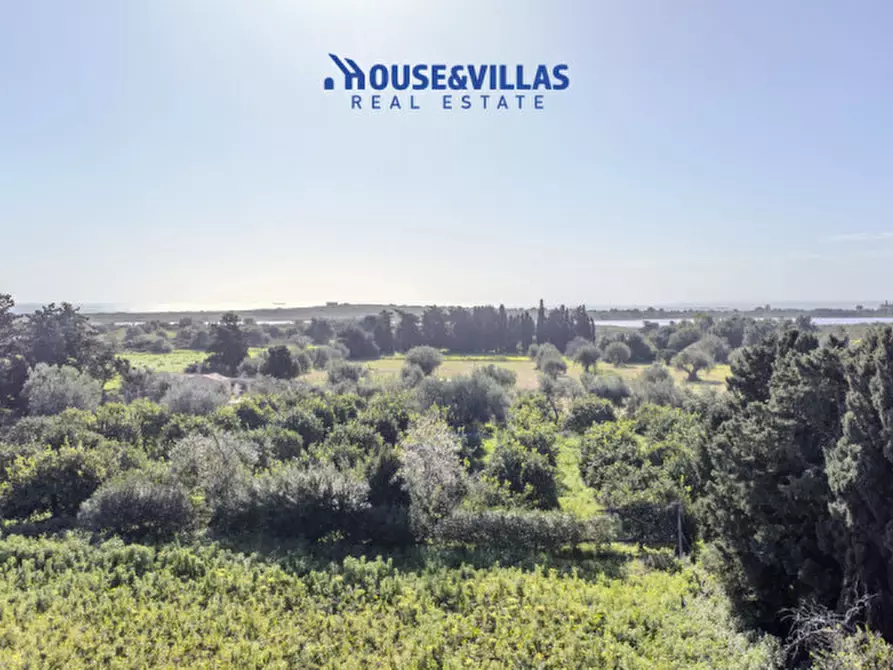 Immagine 7 di Villa in vendita  in calamosche a Noto