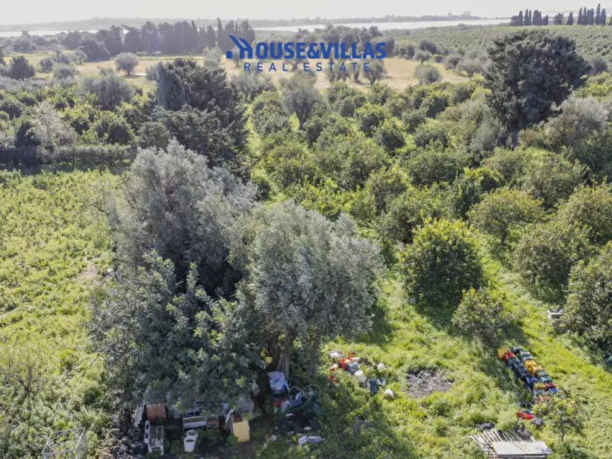 Immagine 8 di Villa in vendita  in calamosche a Noto