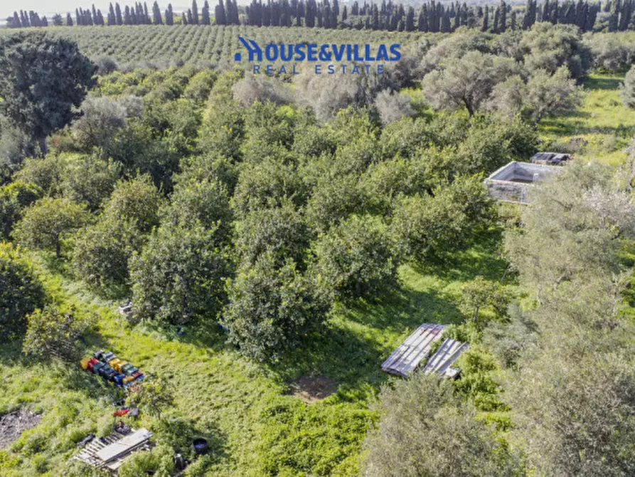 Immagine 12 di Villa in vendita  in calamosche a Noto