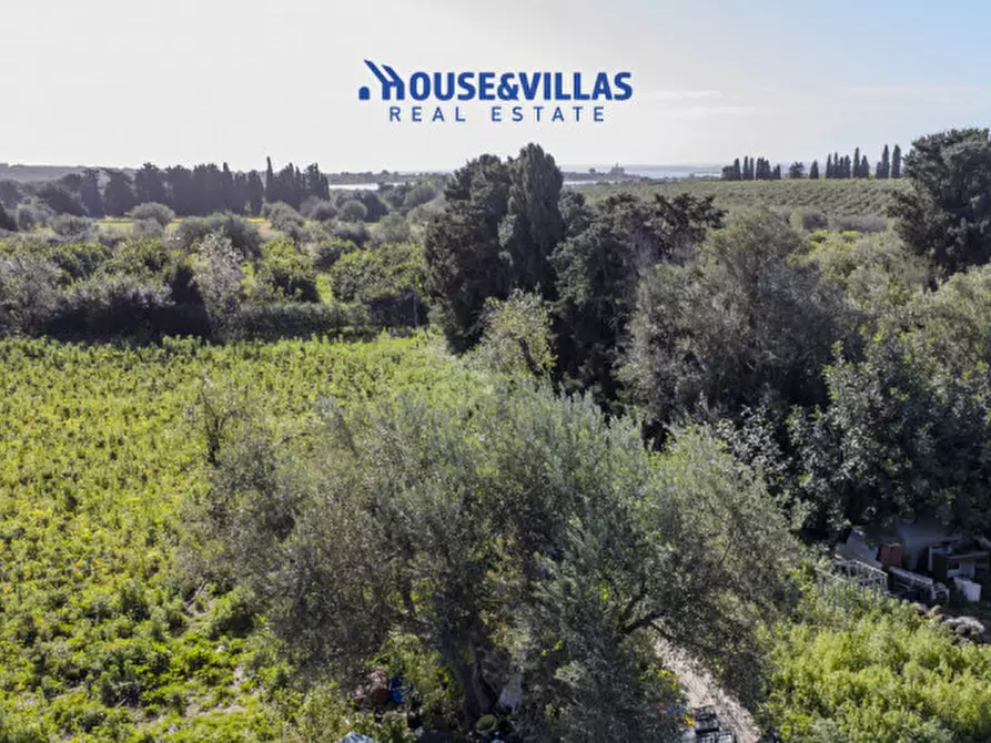 Immagine 13 di Villa in vendita  in calamosche a Noto