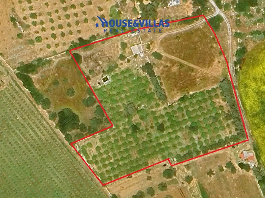 Immagine 15 di Villa in vendita  in calamosche a Noto