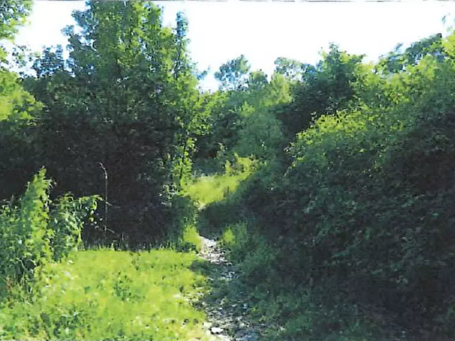 Immagine 1 di Terreno in vendita  in Località Pra a Cerro Veronese