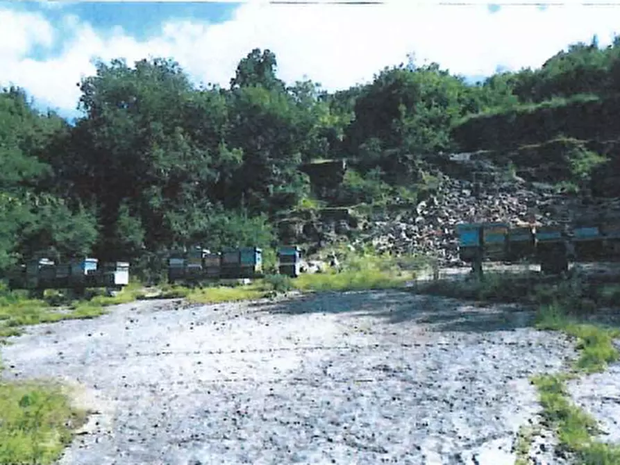 Immagine 2 di Terreno in vendita  in Località Pra a Cerro Veronese