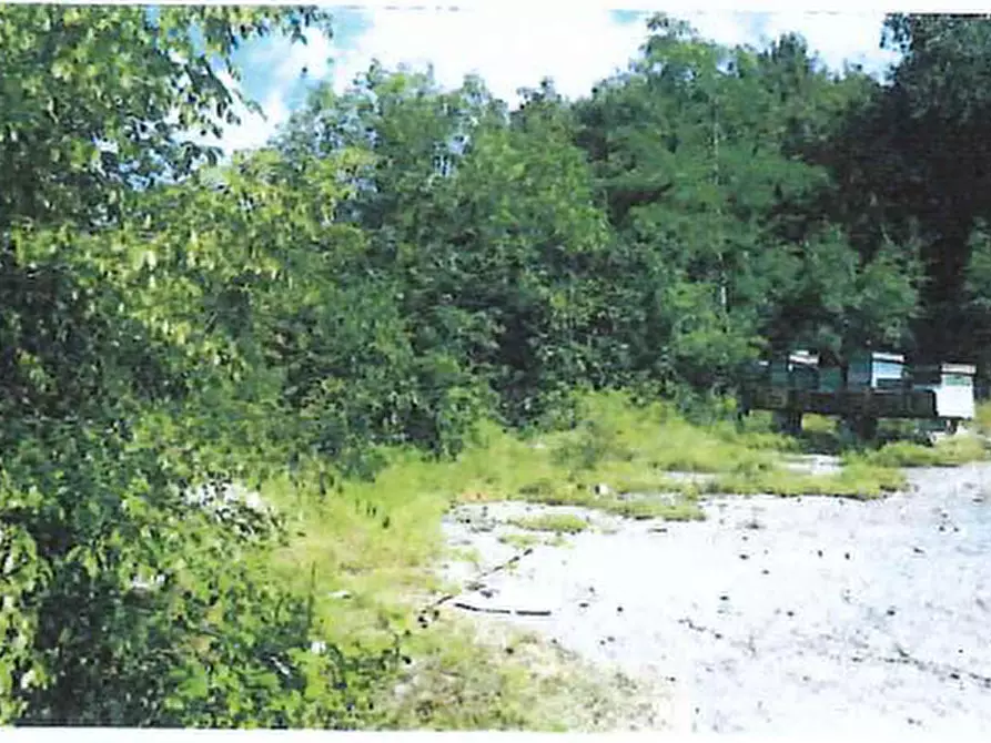 Immagine 3 di Terreno in vendita  in Località Pra a Cerro Veronese