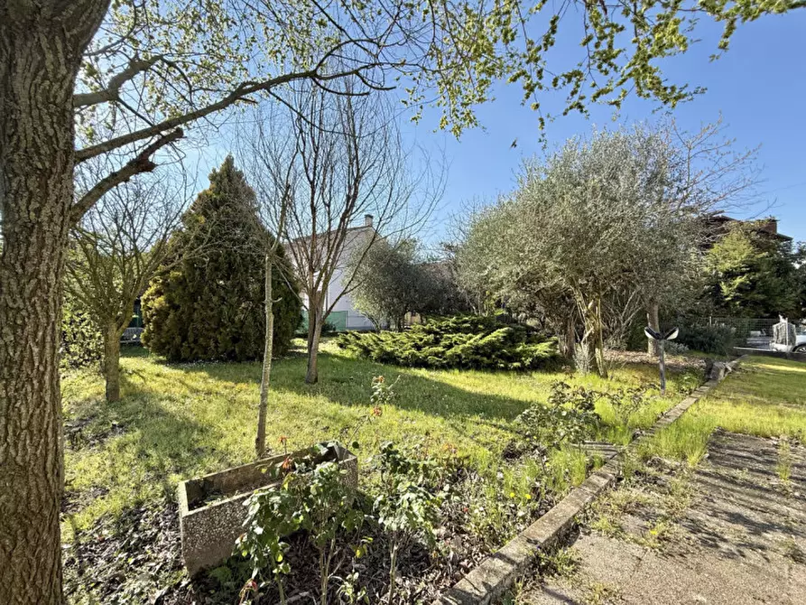 Immagine 22 di Casa indipendente in vendita  in Via Assisi a Solesino