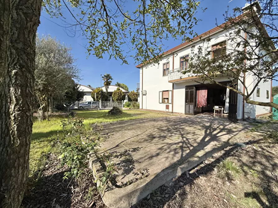 Immagine 23 di Casa indipendente in vendita  in Via Assisi a Solesino