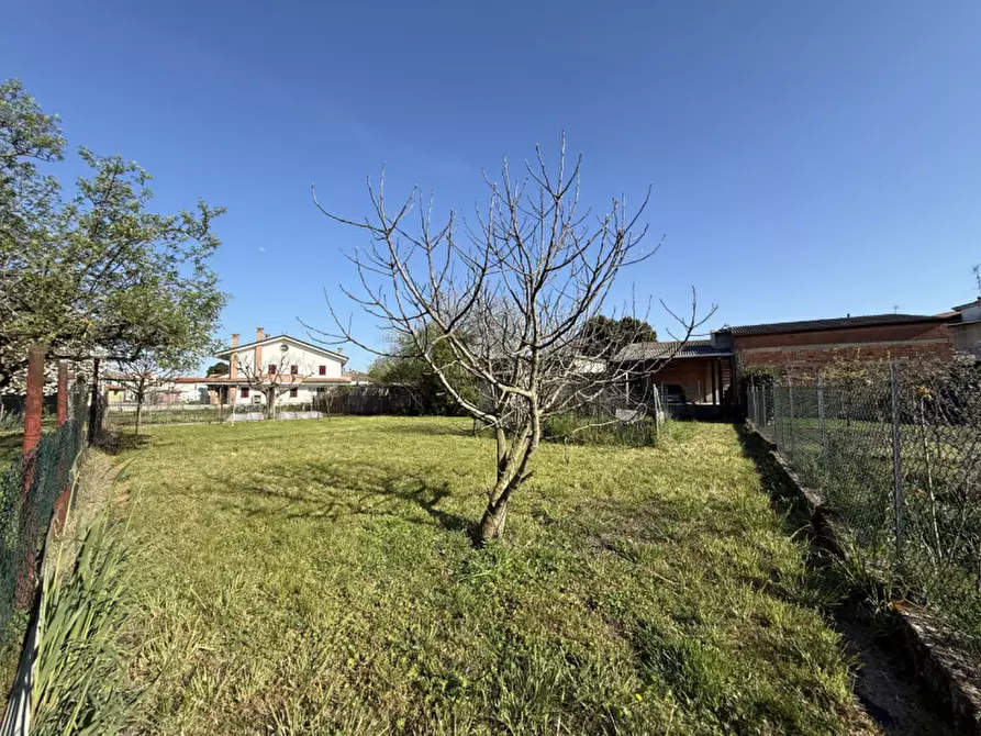 Immagine 24 di Casa indipendente in vendita  in Via Assisi a Solesino