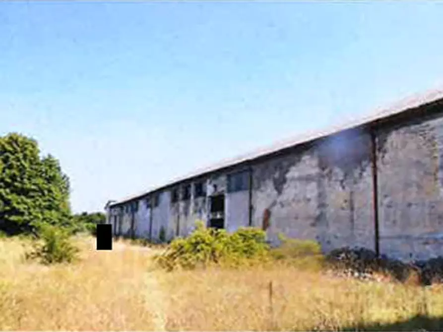 Immagine 2 di Capannone industriale in vendita  in Via Circonvallazione 8 a Fiscaglia