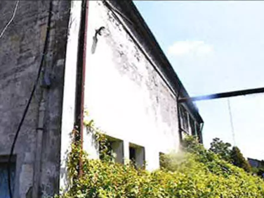 Immagine 4 di Capannone industriale in vendita  in Via Circonvallazione 8 a Fiscaglia