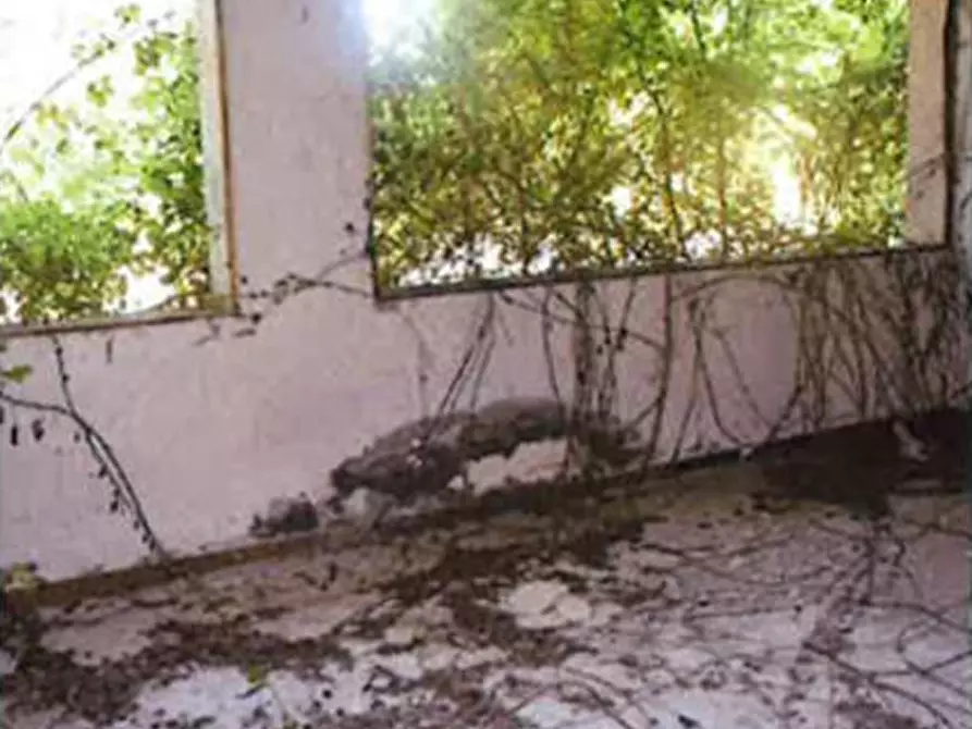 Immagine 9 di Capannone industriale in vendita  in Via Circonvallazione 8 a Fiscaglia