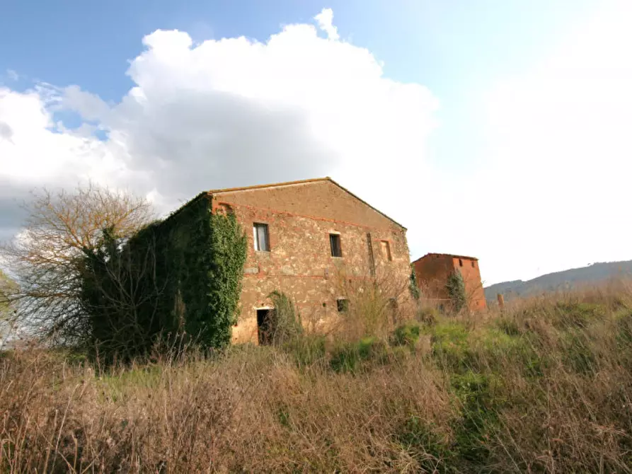 Immagine 2 di Rustico / casale in vendita  a Sinalunga
