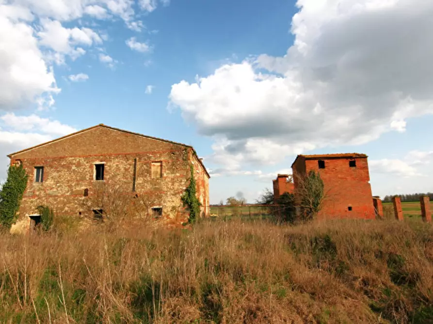 Immagine 3 di Rustico / casale in vendita  a Sinalunga
