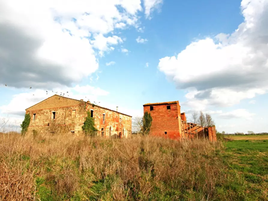 Immagine 4 di Rustico / casale in vendita  a Sinalunga