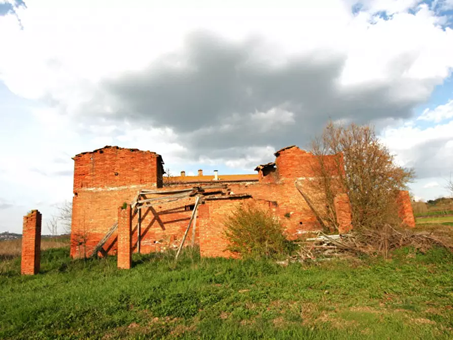 Immagine 5 di Rustico / casale in vendita  a Sinalunga